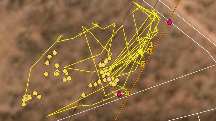 The tracking for one individual shows how quickly the animal learns the meaning of warning sound emitted as it approaches the virtual fencing. Picture: NQ Dry Tropics