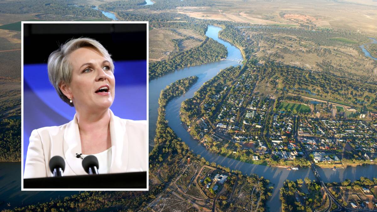 Environment and Water Minister Tanya Plibersek. Picture supplied.