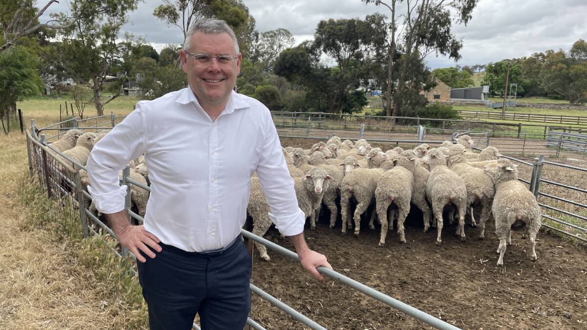 Agriculture, Fisheries and Forestry Minister Murray Watt said the renewed strategy would provide a future plan for animal welfare "to address community and international expectations." Picture supplied.