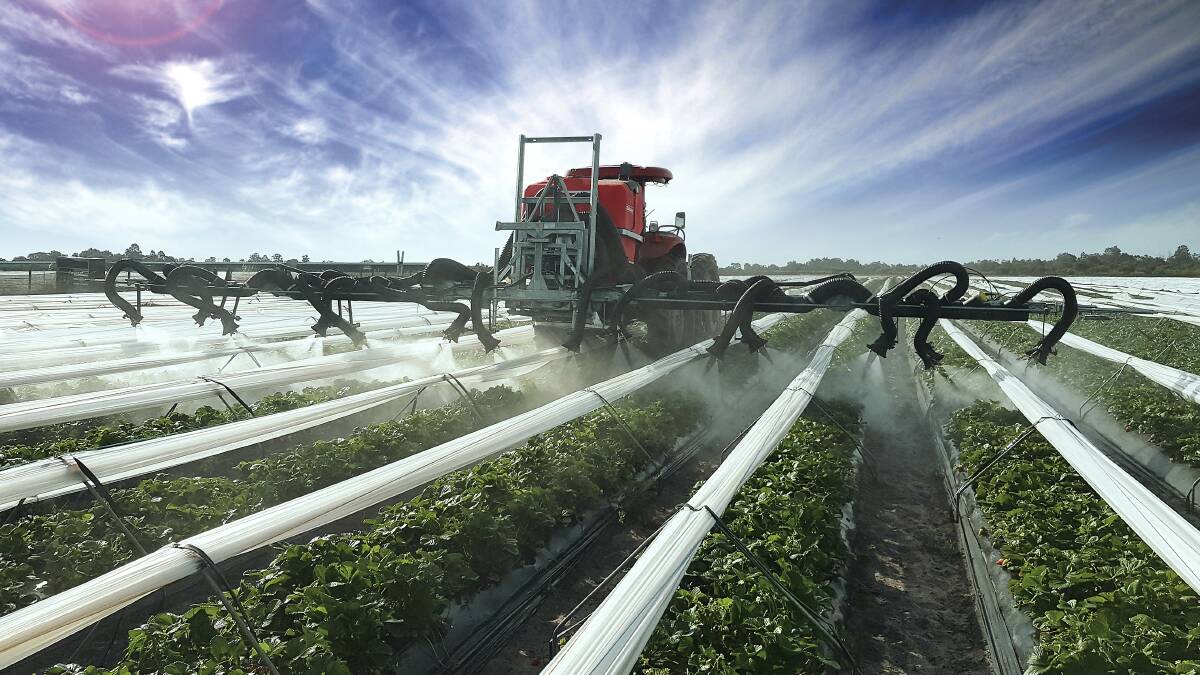 Western Australian strawberry producer, T&L Produce Marketing, recently utilised Silvan Australia to develop an air-assist spray solution for its 40 hectare farm at Gingin, north of Perth.  