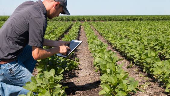 Practical ways to develop agtech solutions
