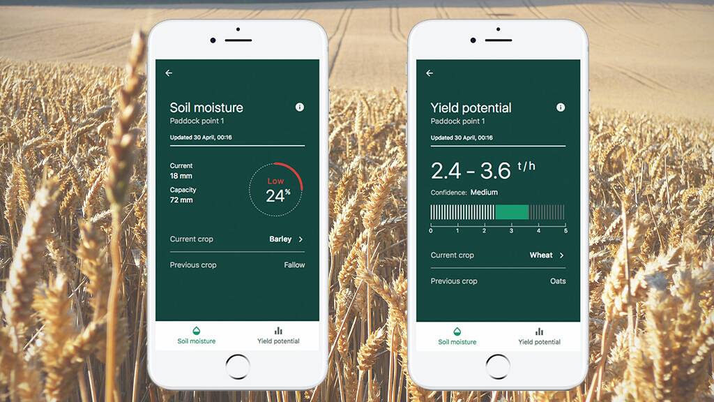 GOING GLOBAL: The CSIRO has granted Digital Agriculture Services exclusive global rights to its Graincast crop forecasting technology. Photo: CSIRO