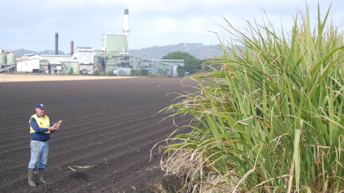 Sugarcane farmers now pay about 120 per cent more for power than in 2010.