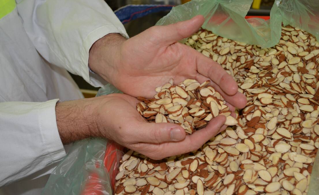 Select has almond harvest high hopes