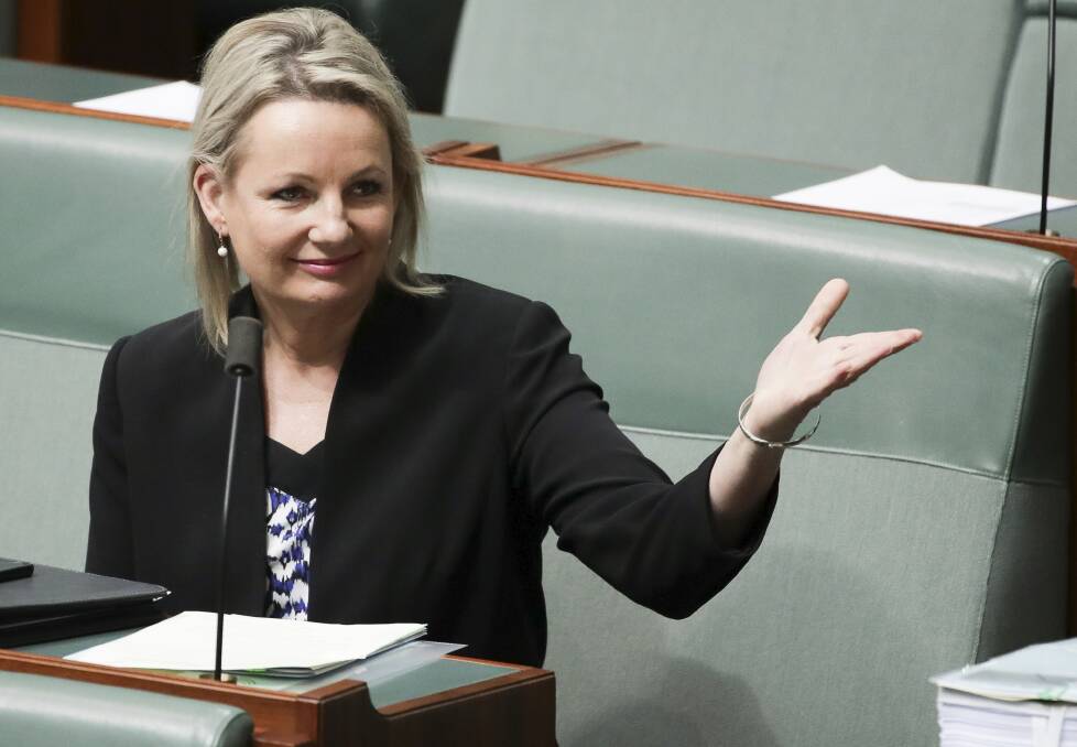 Liberal member for Farrer, Sussan Ley, in the House of Representatives in Canberra where she introduced the Live Sheep Long Haul Export Prohibition Bill 2018 as a Private Members Bill in the past week.