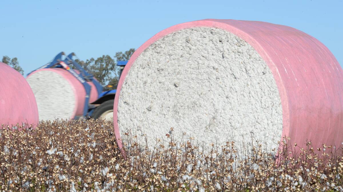 Beijing snubs Australian cotton imports