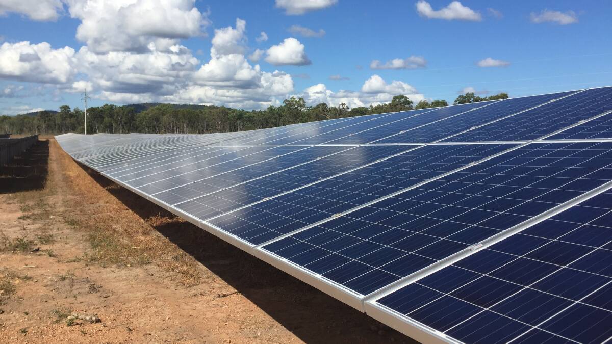 The solar panels at the Lakeland solar farm.