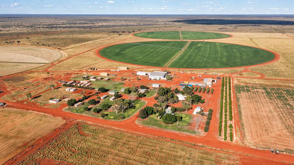 The Haighs are growing pasture under irrigation to cut for hay on a 5000-acre property in the Northern Territory, 190 kilometres north of Alice Springs. Picture supplied