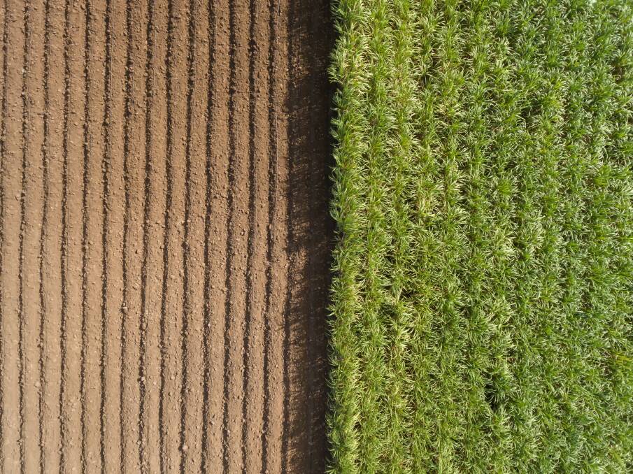 For Queensland farmers, soil is the basis of our nation's agroecosystems, not only underpinning sustainable productivity, but also improving resilience. Shutterstock/Love Silhouette.