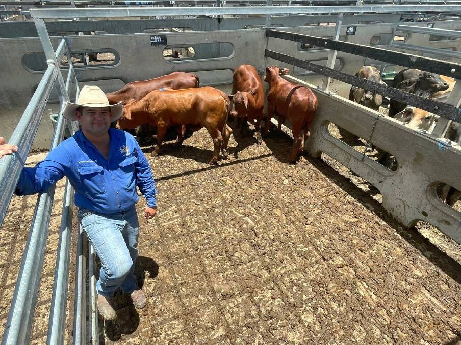 Morgan Harris, TopX Gracemere, with the G and D Murphy, Ridgelands, Droughtmaster weaner heifers which sold for 726c/kg, weighed 252kg and returned $1830/head. The strong sale broke CQLXs cents per kilo price record for heifers.