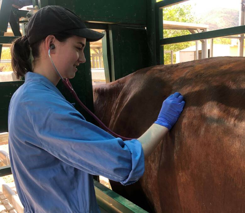 Ella Titmus received a DemoDAIRY Foundation tertiary scholarship to assist her veterinary science study at James Cook Townsville.