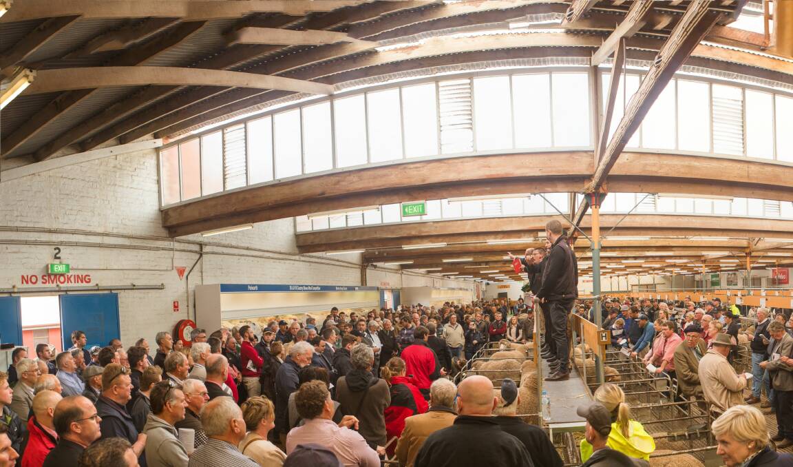 PREMIER SALE: A huge crowd of more than 120 registered bidders converged on the Adelaide Merino ram sale to witness some spectacular highs.