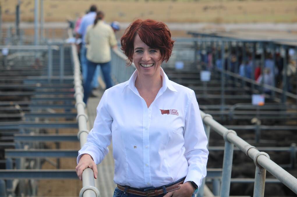 RIGHT PATH: Cattle Council chief executive officer Margo Andrae.
