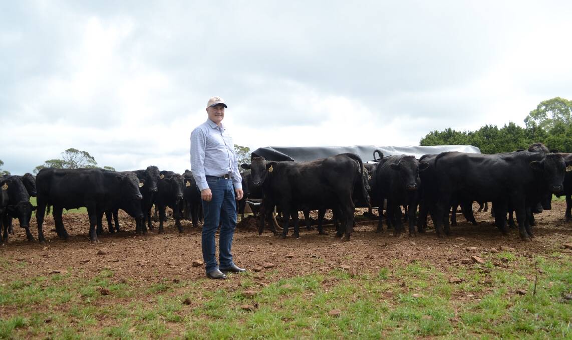 TOP HONOURS: Stone Axe Pastoral's managing director Scott Richardson with Wagyu cattle.
