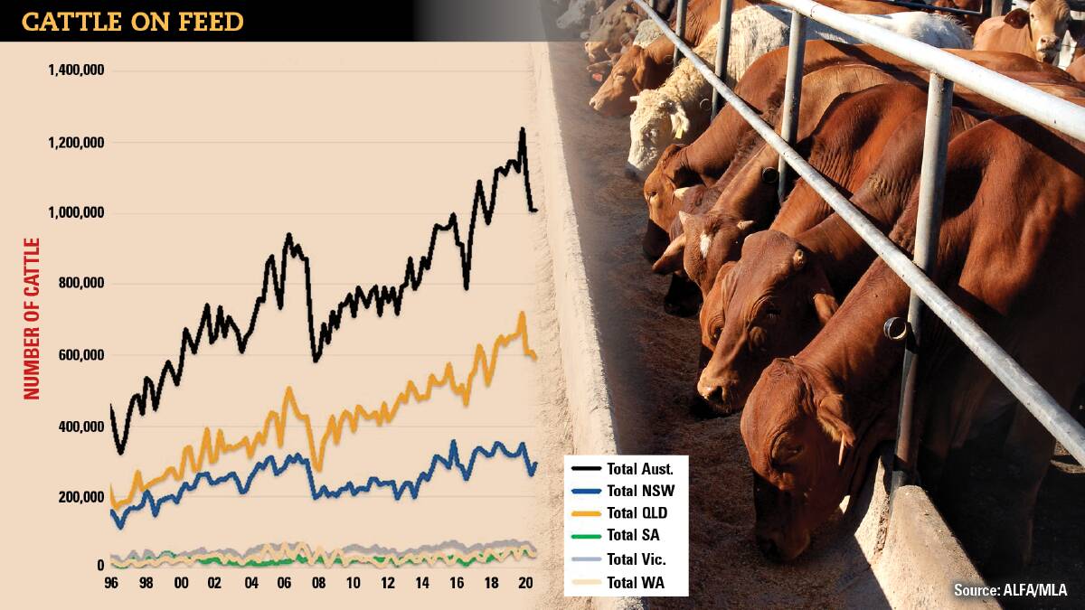 Record cattle prices fail to dent numbers on feed