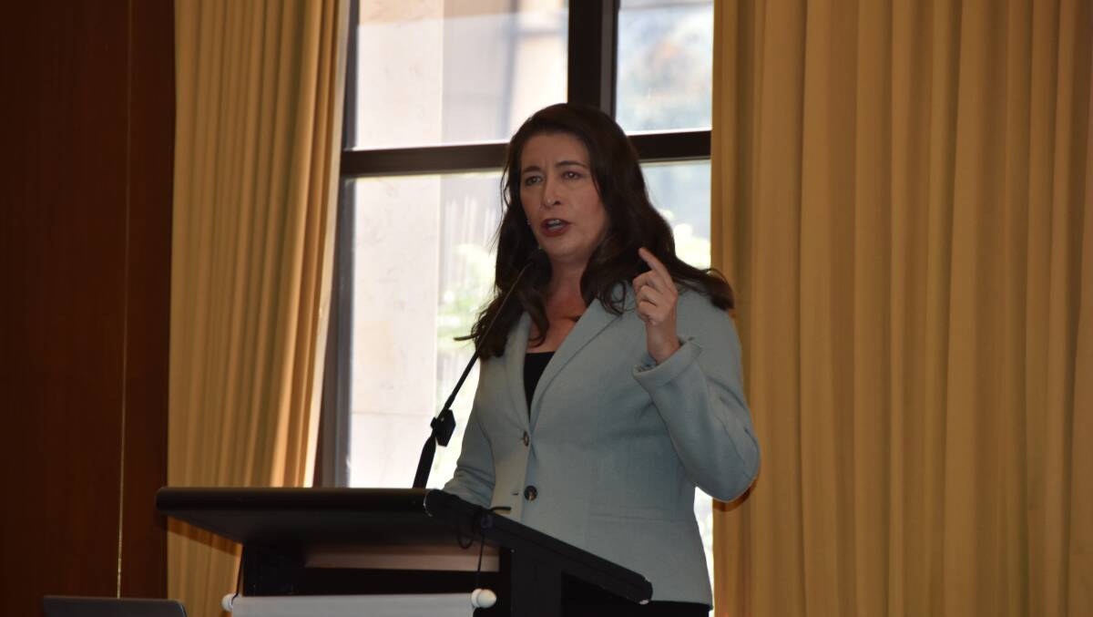 Senator Susan McDonald, the guest speaker at the Rural Press Club of Queensland's lunch in Brisbane, marking International Day of Rural Women, on Friday.