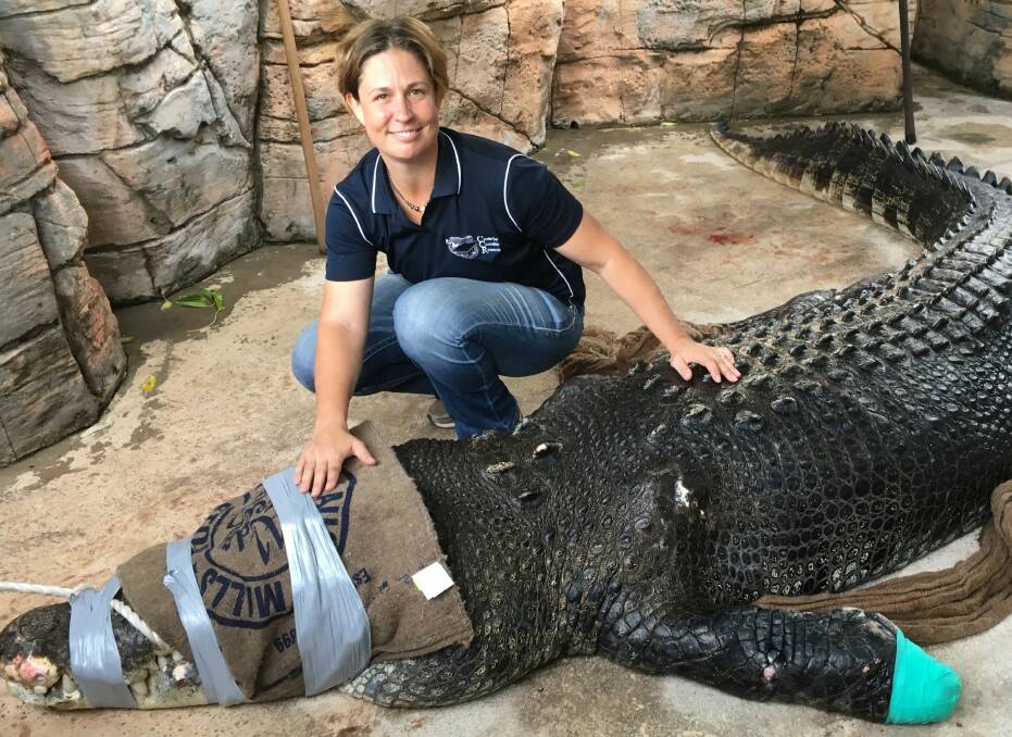 Crocodile consultant Dr Sally Isberg. 