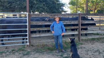 Victorian beef and lamb farmer Loretta Carroll is worried the science will be overlooked in attempts to incorporate 'sustainability' into dietary guidelines. Photo supplied.