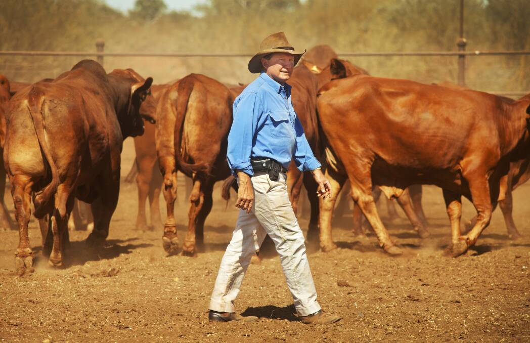 CONTROVERSIAL: Billionaire Andrew 'Twiggy' Forrest has angered colleagues in the beef industry with claims the processing sector's animal welfare standards are not up to scratch.
