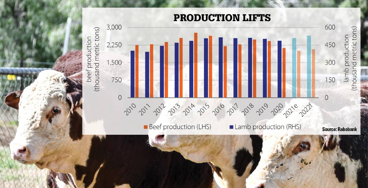 UPWARD: Rabobank is forecasting beef production to start rising in 2022 and lamb production to continue growing.