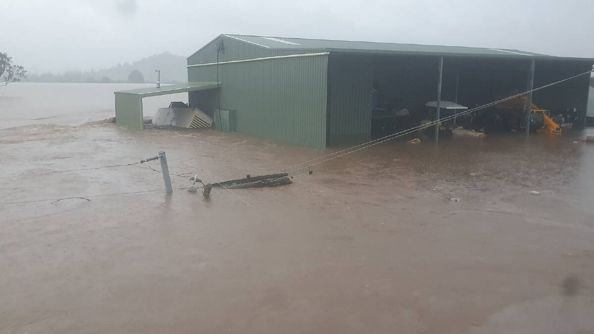 An inundated livestock farm near Lismore on the NSW North Coast. Photo: Paul Weir
