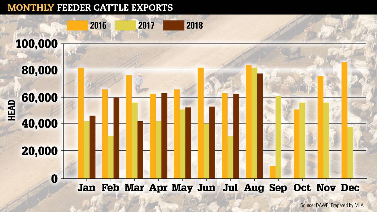 Live cattle exports spike