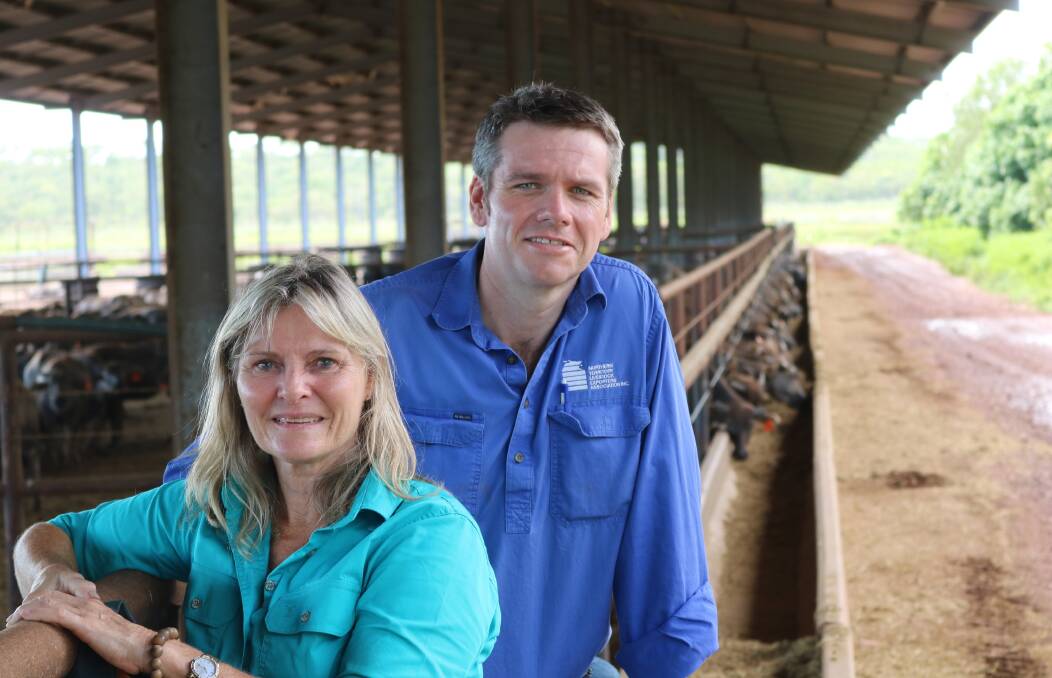 JOINING FORCES: Louise Bilato, from the Northern Territory Buffalo Industry Council, and NT Livestock Exporters Association chief executive officer Tom Dawkins with buffalo on feed.