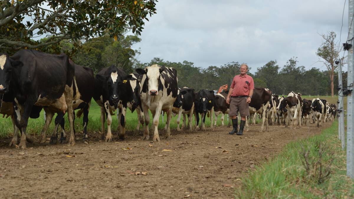 Wingham milk producer Peter Brown.