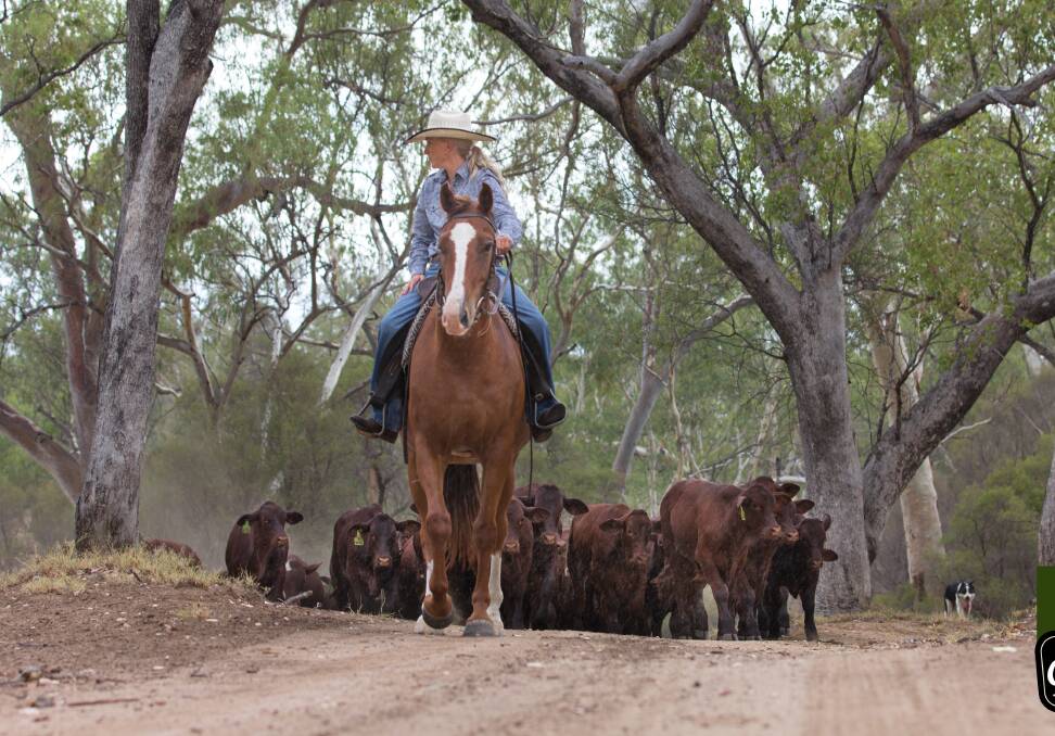 GROWING MARKET: Organic beef producer Amanda Walker, from central western Queensland.