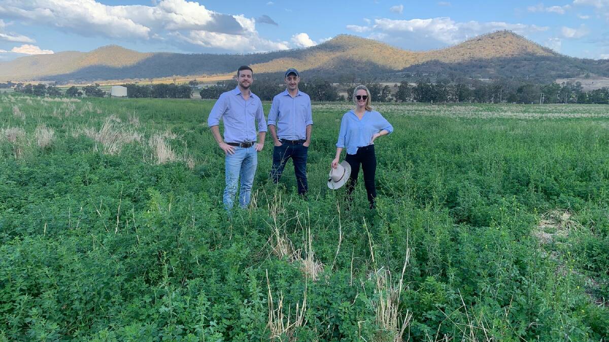 WAY OF THE FUTURE: Roots Regenerative program manager Dan Selwood, Paradigm Foods general manager Nick Thompson and marketing manager Clare Ross on a regenerative beef farm that will supply the new brand.
