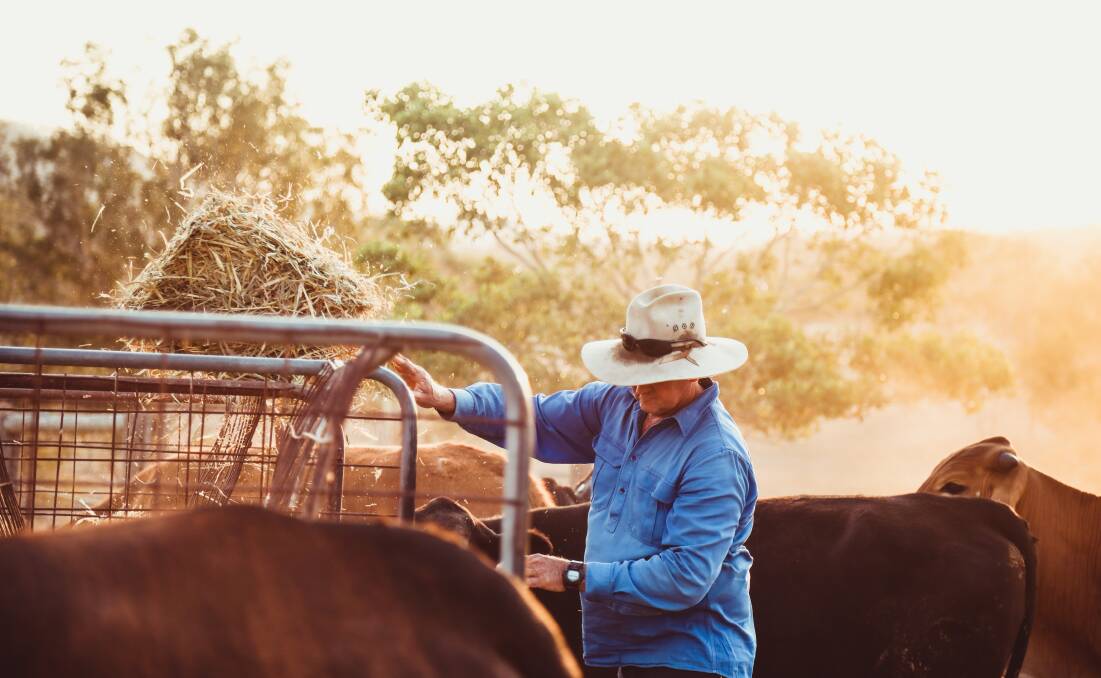 ON WITH THE JOB: Managing through, and rebuilding after, drought and natural disasters is the immediate production challenge for beef producers. Picture: Lucy Kinbacher. 