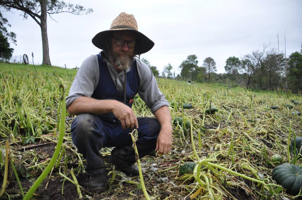 Fraser Bayley of Old Mill Road BioFarm said the Australian Ironbark pumpkin crop had no chance of bouncing back after the Boxing Day storm. 