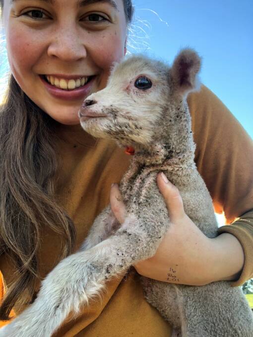 Bianca Agenbag's project aims to fill a significant knowledge gap in the early development of lambs by focussing on colostrum. Picture: supplied.