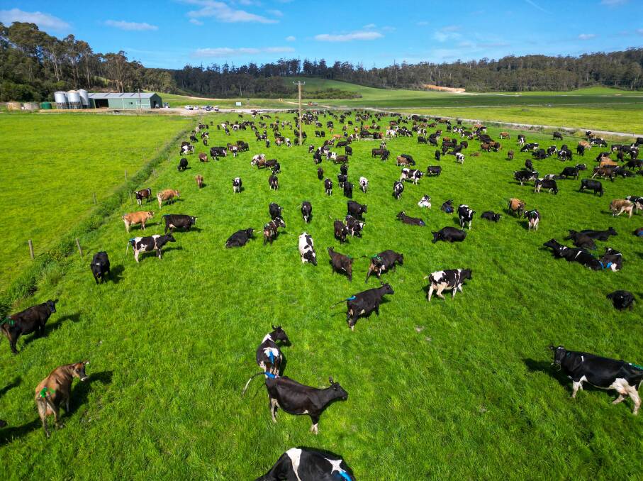The latest Prime Dairy buy in Tasmania.