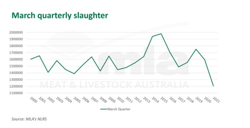 Cattle slaughter rates tipped to be lowest for more than 20 years