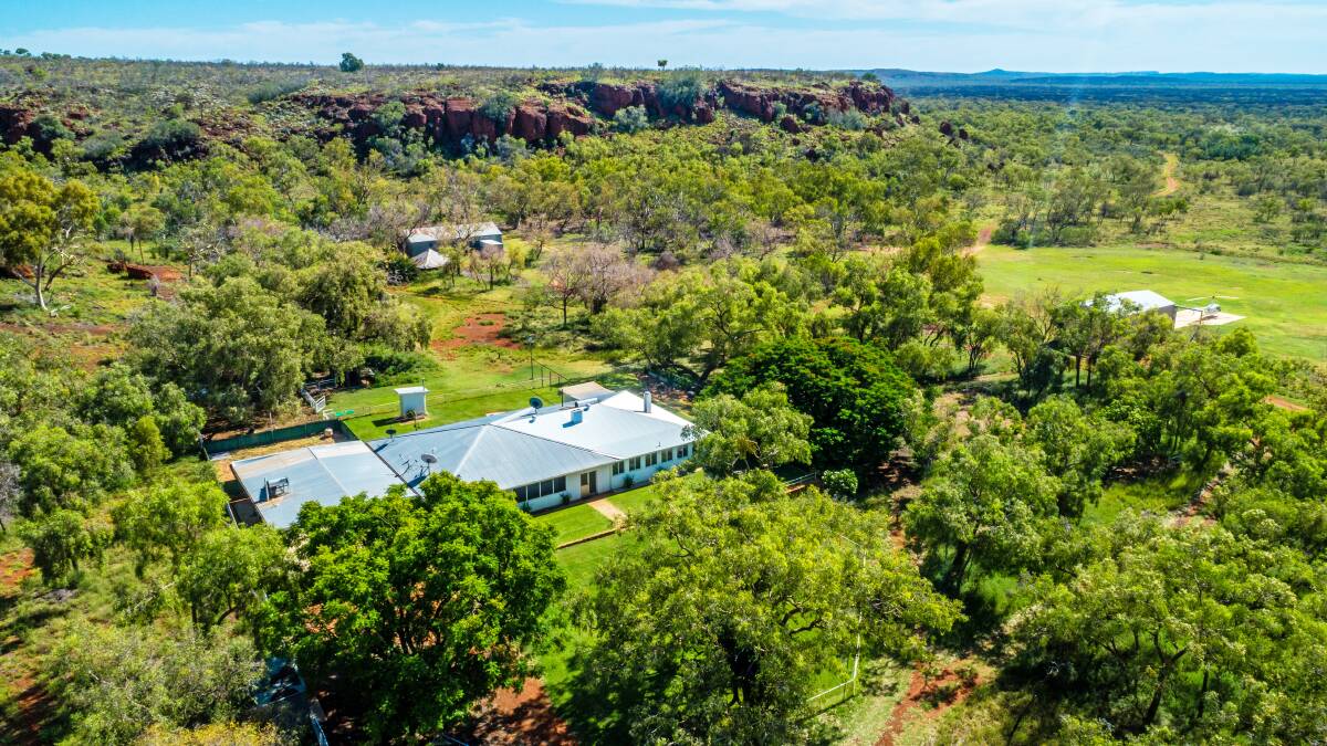 The recently renovated homestead is set against the ranges at Vaughan Springs and is surrounded by expansive lawns and garden. Pictures: Colliers.