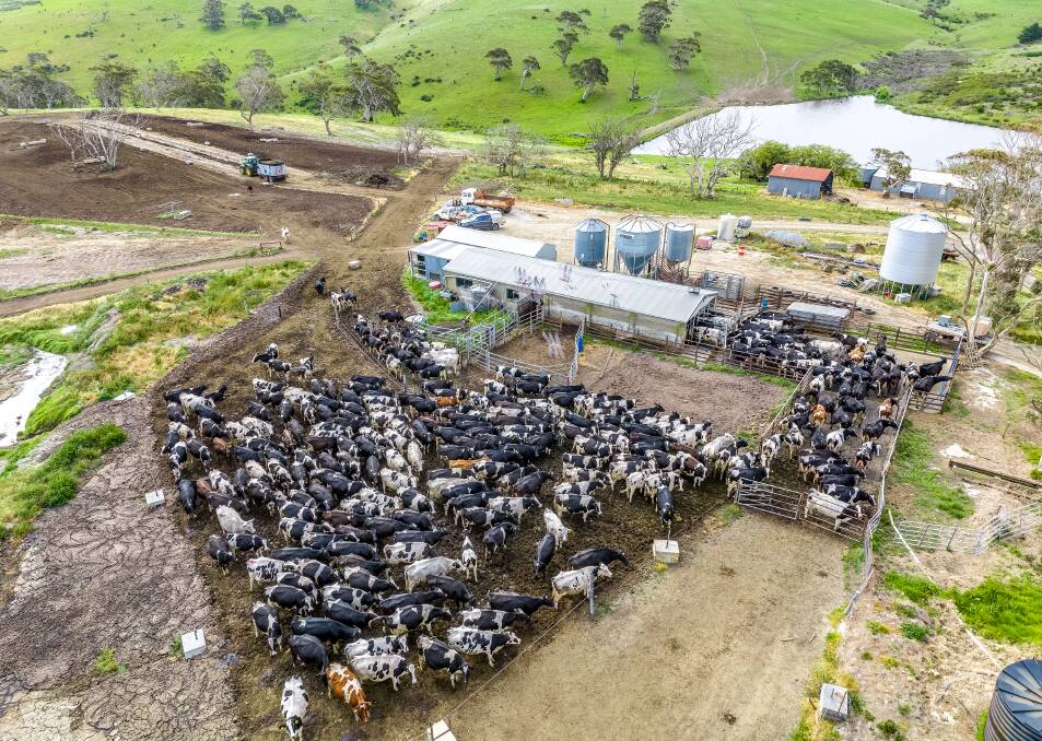 A still shot from a drone offers an operational idea of how the dairy works. This is Blinkbonnie Dairy on the Fleurieu Peninsula in South Australia which is on the market for around $8770 per acre. Picture: Raine and Horne.