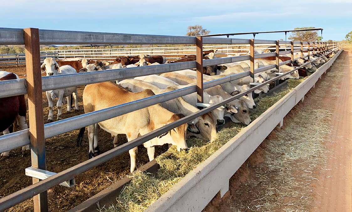 A feedlot makes use of the home-grown hay.