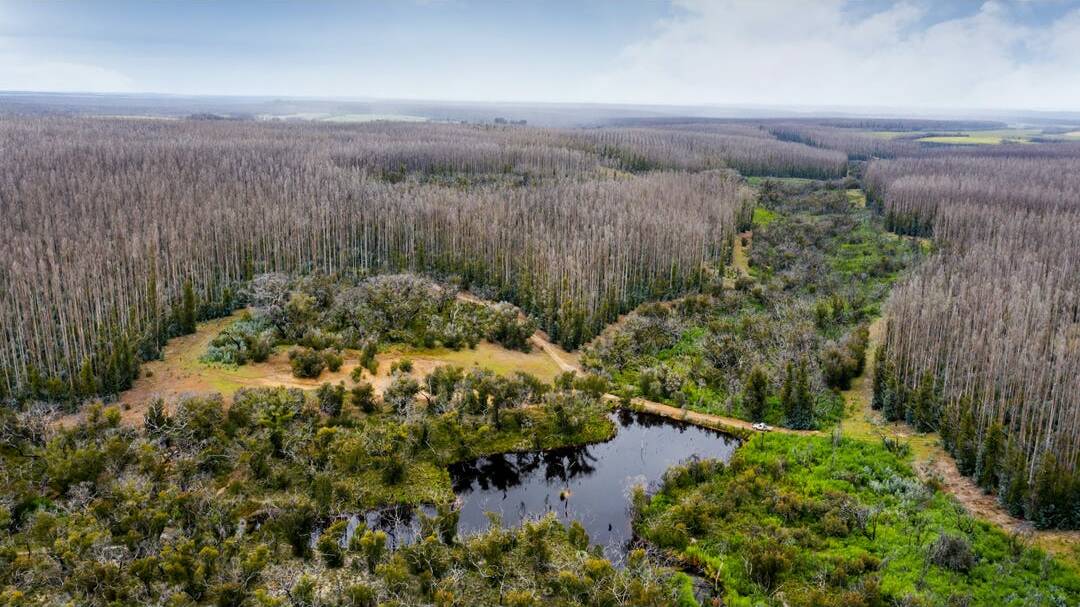 Plantation razed by Kangaroo Island fires on the market
