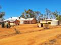 Once home to a big commercial goat enterprise, Wynyangoo Station is on offer near Mount Magnet in the Mid North across 404,458 acres (163,682 hectares). Pictures from Elders Real Estate.
