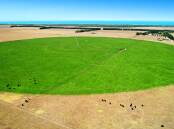 The big irrigation pivot is currently used to boost a cattle breeding and fattening operation. Pictures from TDC Livestock and Property and O'Connor and Graney.