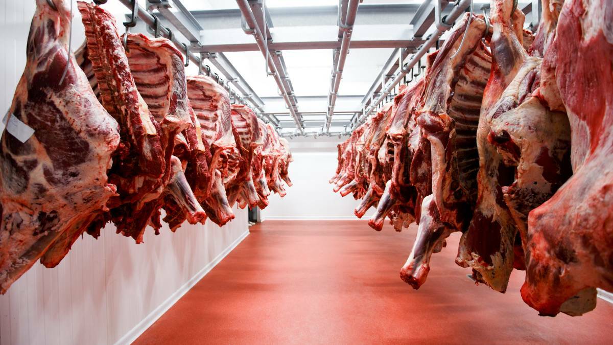 One of the world's biggest meat companies is looking to team up with its Saudi Arabian agricultural investment company to expand their operations in Australia. 