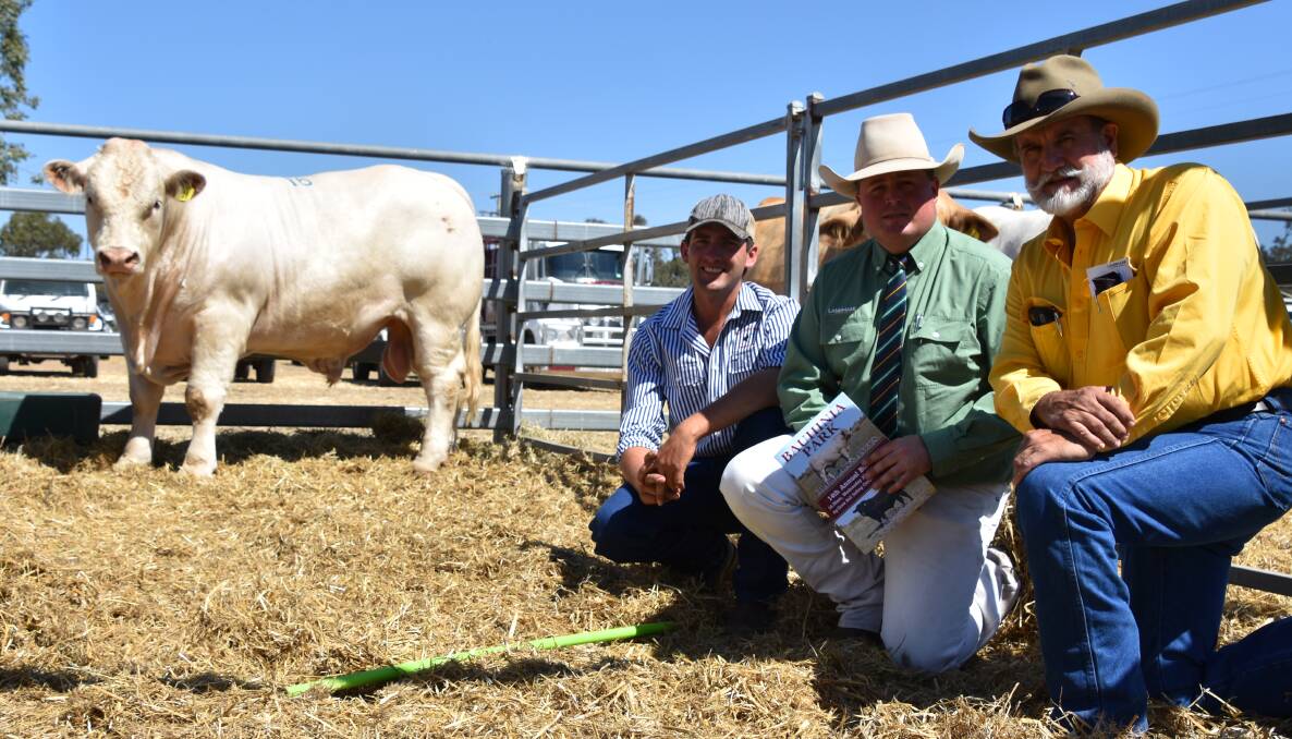 Top price was reached for the Charolais by the impressive Bauhinia Park Macho selling for $11,500 and is pictured with vendor Ryan Holzwart,James Saunders and buyer Doug Kriedemann,Comet