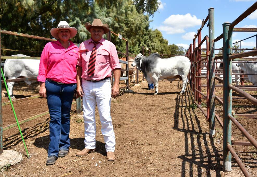 NK Brahmans,Amaroo, Theodore Co Principal Fiona Skinner with selling agent Randall Spann, Elders are pictured with top price Brahman bull NK 1420 (S) (ET) who sold for $17,000 to Kelvin and Margaret Maloney, Mt Coolon ( not pictured)