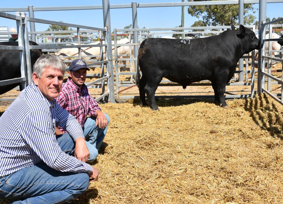 Top price Angus bull, Bauhinia Park Net Worth M60, reached $18,000 and pictured with Troy Roberts, Callistemon, Springsure and vendor Jeff Holzwart. 