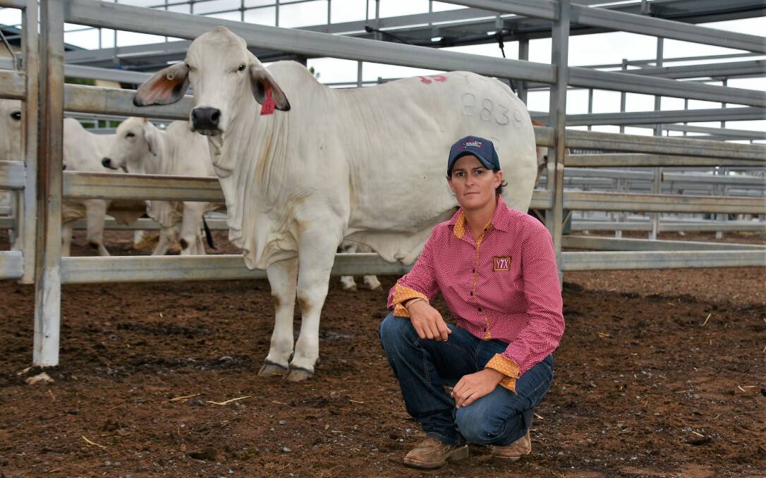 Renee Rutherford,Glengarry Brahman Stud, Kunwarara pictured with Lot 15 Glengarry  Countess 2839 who made second top price for the grey heifers selling for $15,000 to Paul and Catherine Mackenzie, Arizona Brahmans, Dingo.