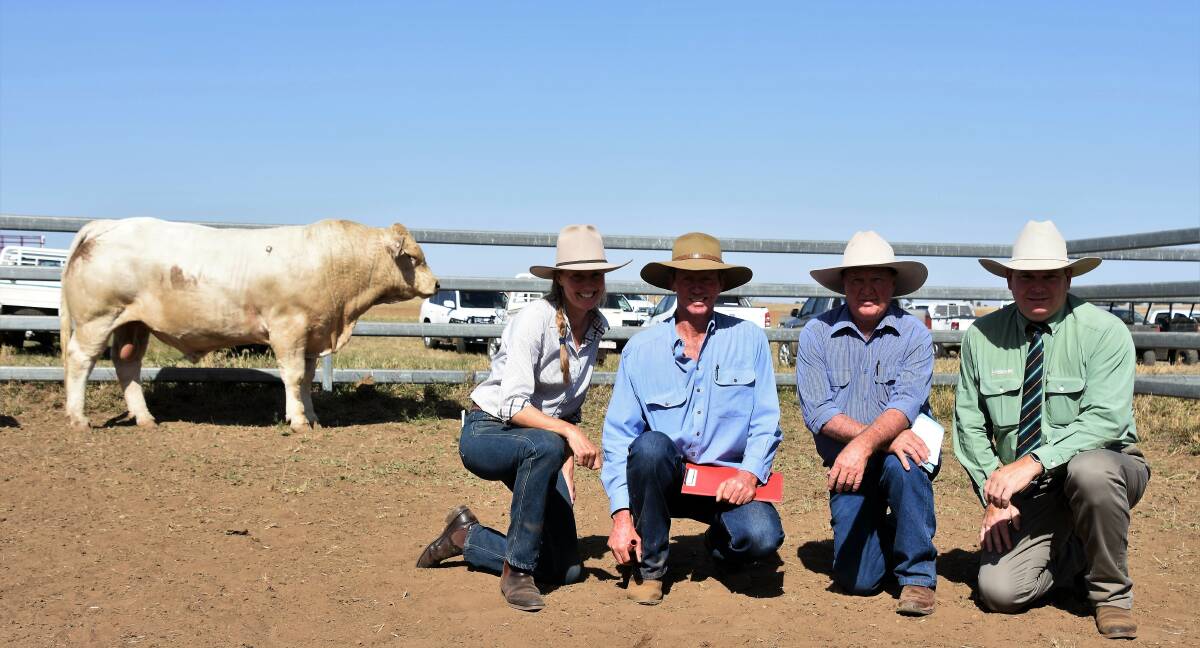 One of three top priced Charolais bulls at the Ayr Charolais sale. Ayr Nick's Midland sold for $10,000 and is pictured with vendors Kellie and David Cass, Ayr Charolais, buyer Chas Nobbs, Cordelia, Moura and agent Mark Scholes, Landmark Rockhampton.