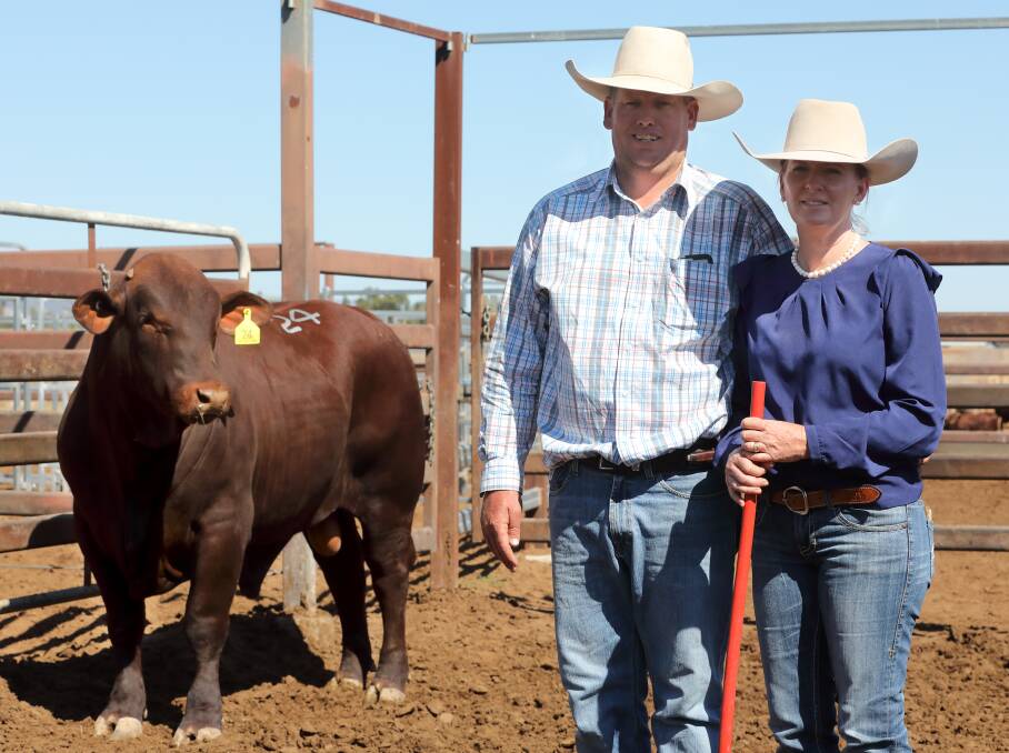 Tony and Louise Prentice, Jamar Stud, Emerald with their $16,000 seller, Jamar Napoleon (P) bull. The 23-month-old weighed 832kg and sold to Sean Dillon and family, Surbiton Station, Alpha.