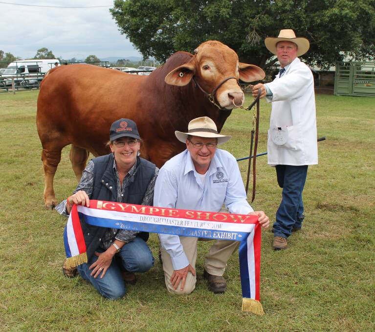Junior and Grand Champion bull plus Supreme Droughtmaster Exhibit was Farogan Valley Chief held by Les Lee, Leegra Fitting Services, Murgon with owners Sarah and Nick Hughes, Farogan Valley Droughtmasters, Upper Kandanga.