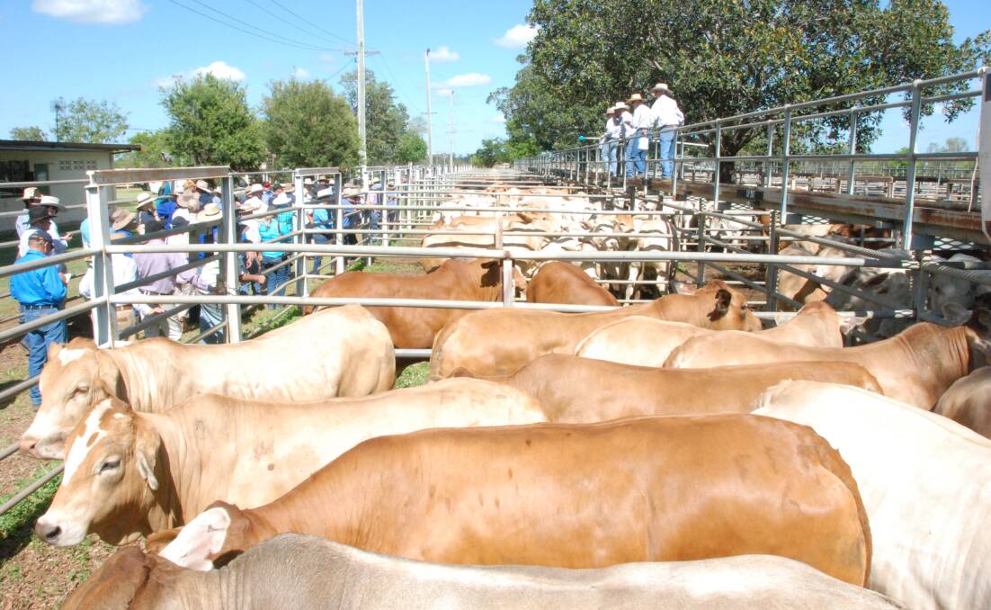 Queensland beef producers have the chance to attend MLA's BeefUp Forums during the second half of the year. 